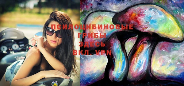 мет Заводоуковск